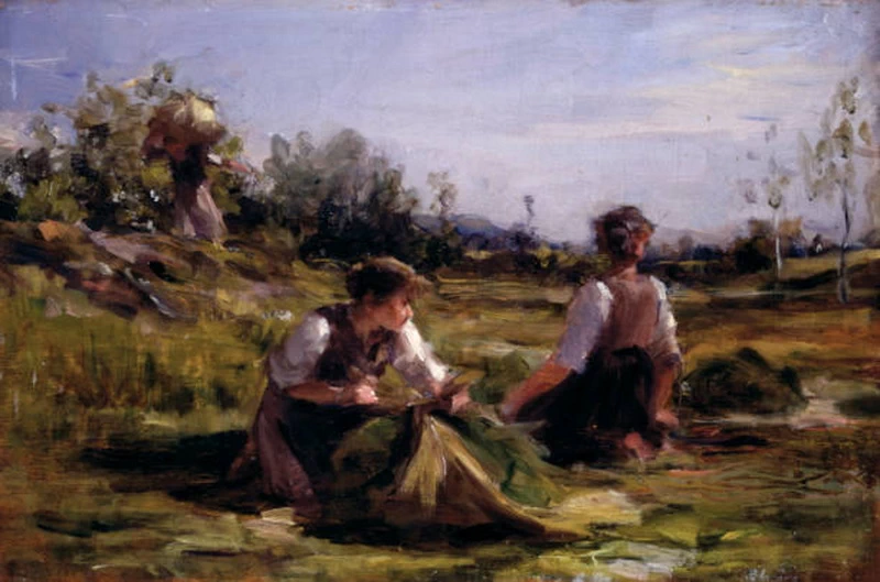 Fienagione